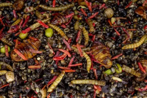 Macro Mix Wormageddon 2.0 1 Kopie