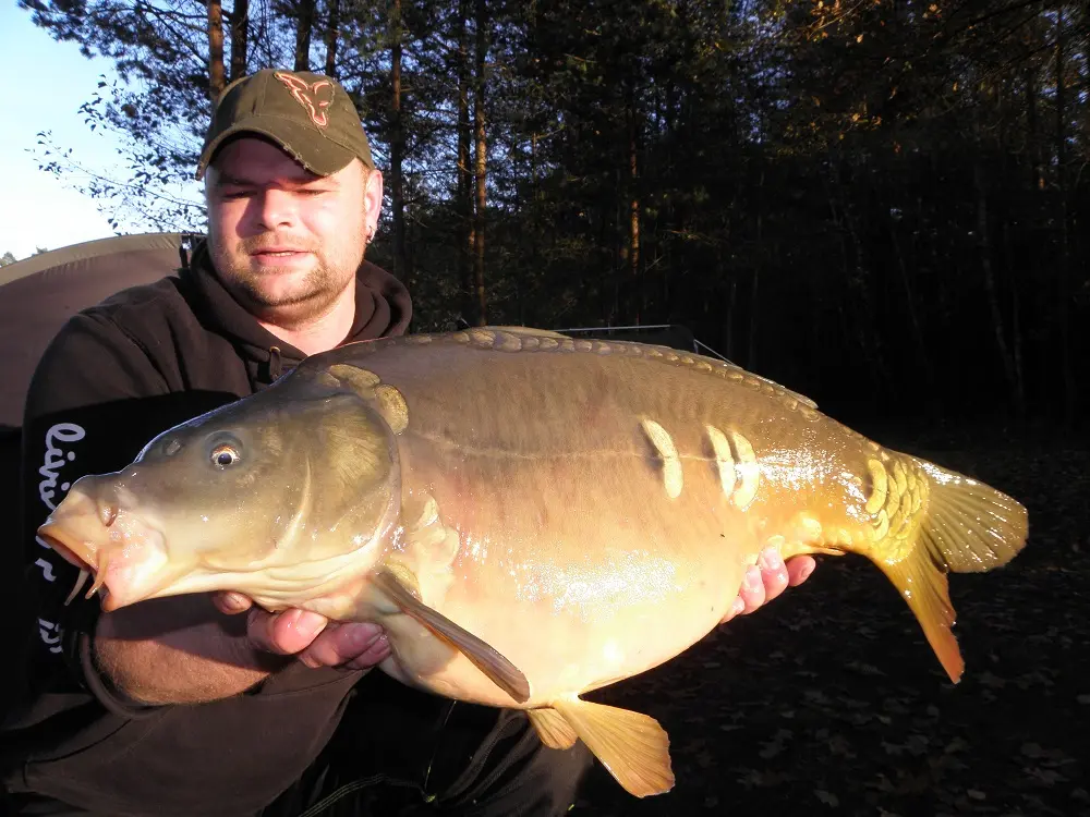 My Baits Marco 1