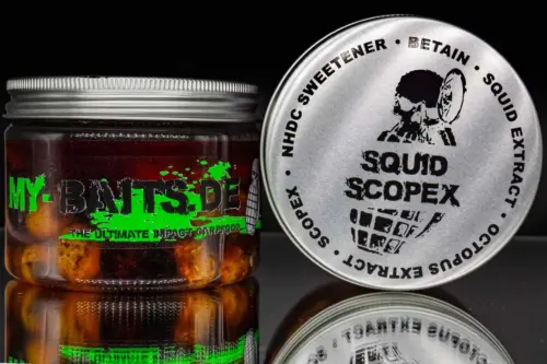 Squid Scopex 01 1200x800