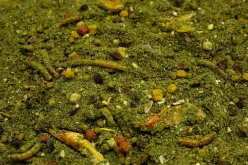 stick mix freaking insect 2
