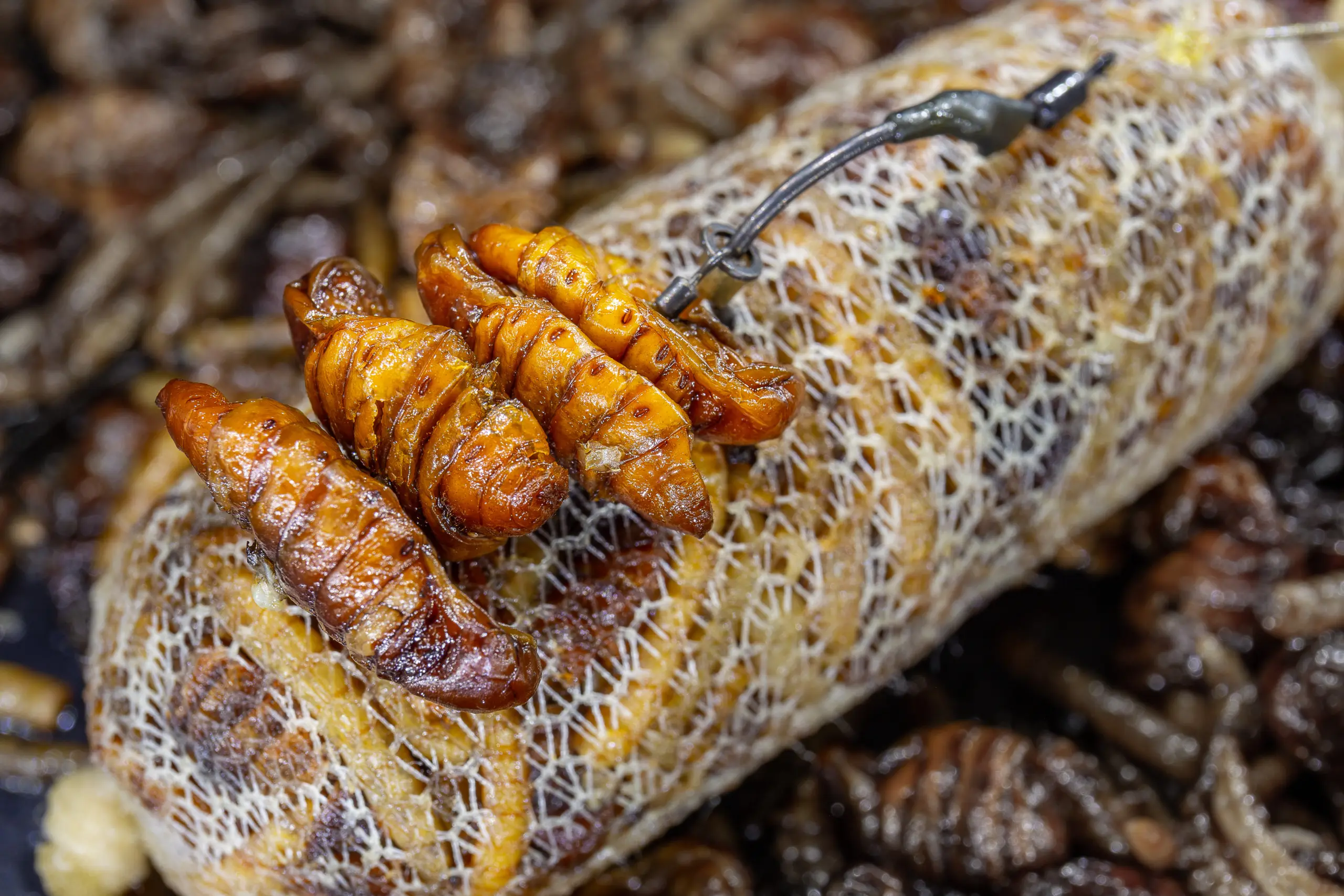 Destruction Insects 3 Destruction Insects – Bild 2