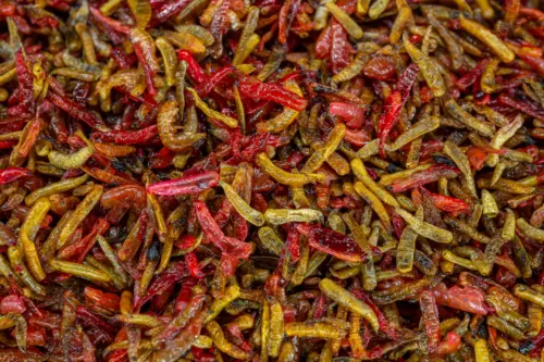 Makro Destruction Insects 3