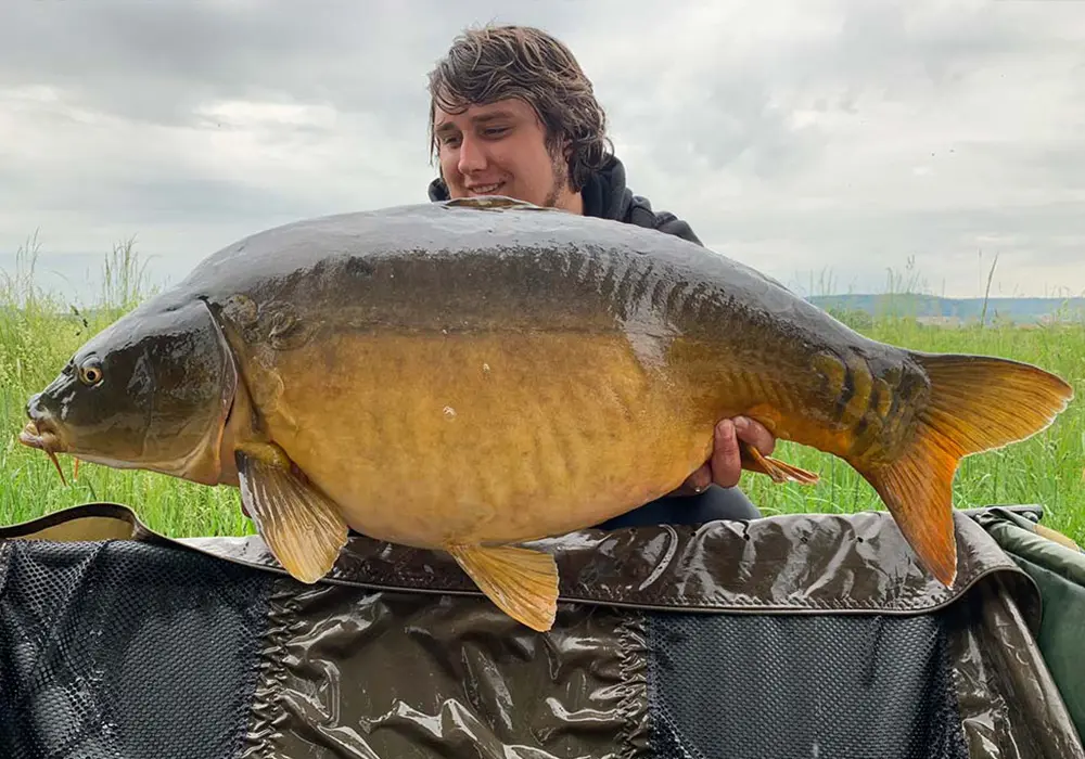 jakob koegel 700x1000 1