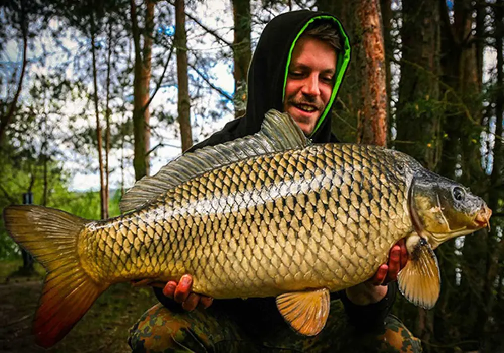 max dechant 700x1000 1