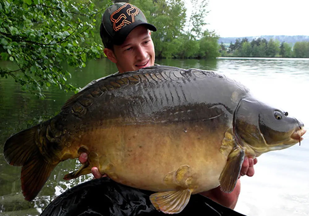 michael scharf 700x1000 1