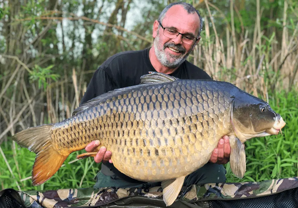 norbert lieke 700x1000 1