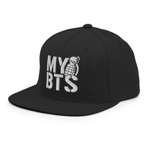 classic snapback black left front 689469be07822